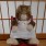 パセリちゃん